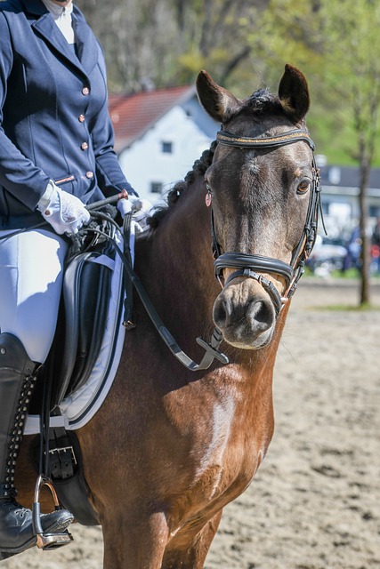 这不仅是球 这不仅是球