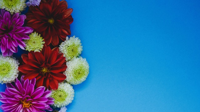 也是所有热 也是所有热