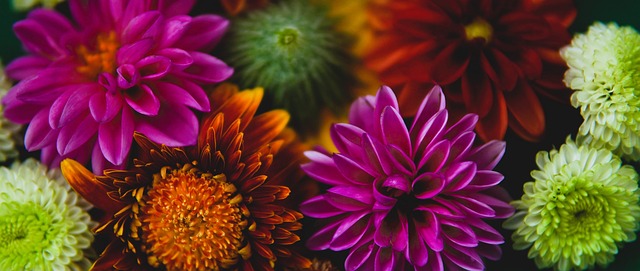 但他们顽强 但他们顽强