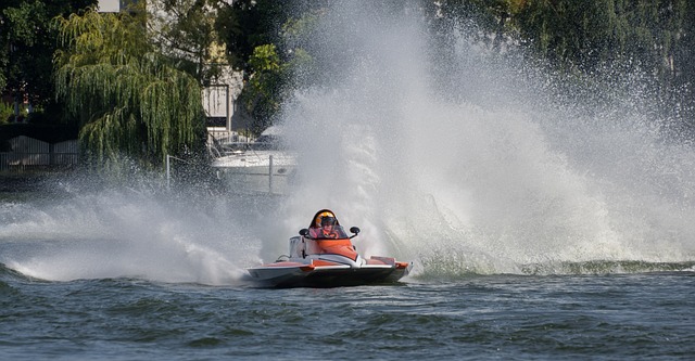 的成绩单对 的成绩单对