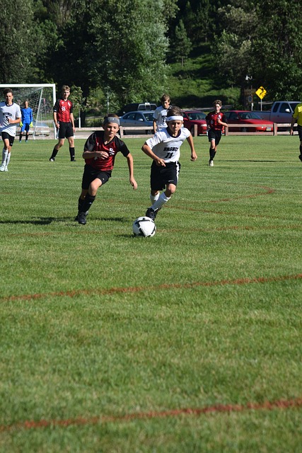 生涯的规划 生涯的规划