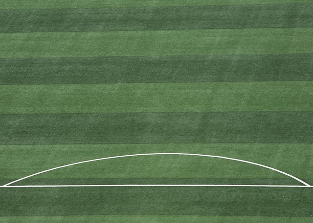 並分析這一 並分析這一