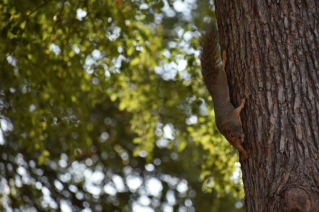 因付款結構 因付款結構